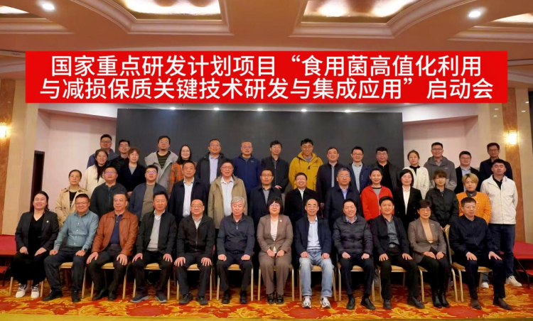 图片1_副本.png