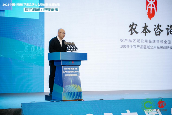 图片12.png