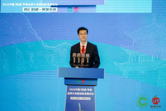 图片8.png