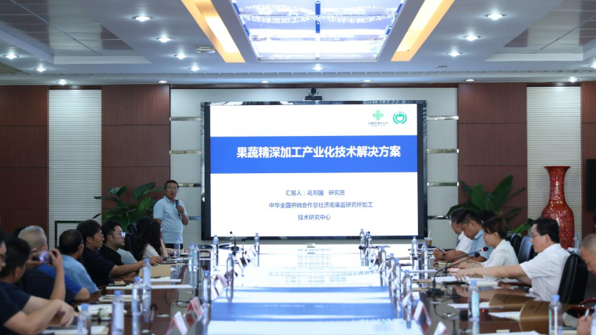 图片4网站