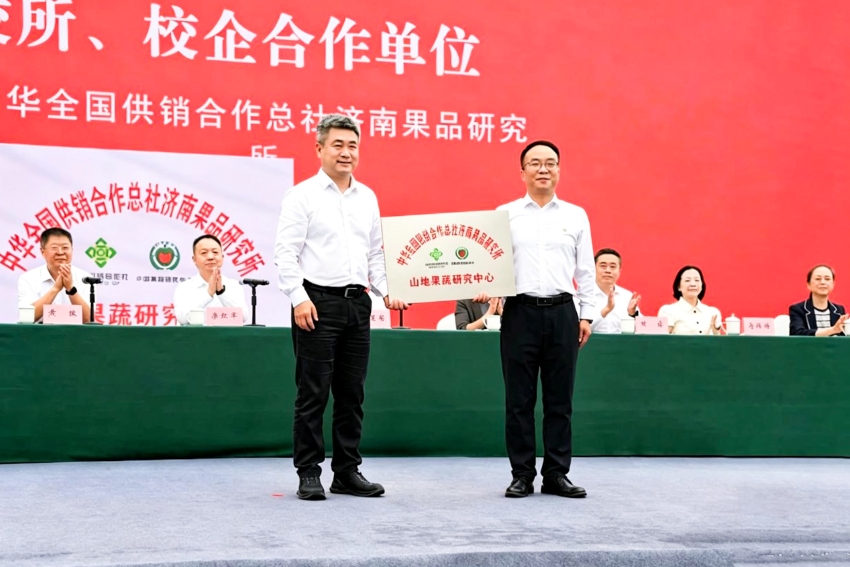 图片21